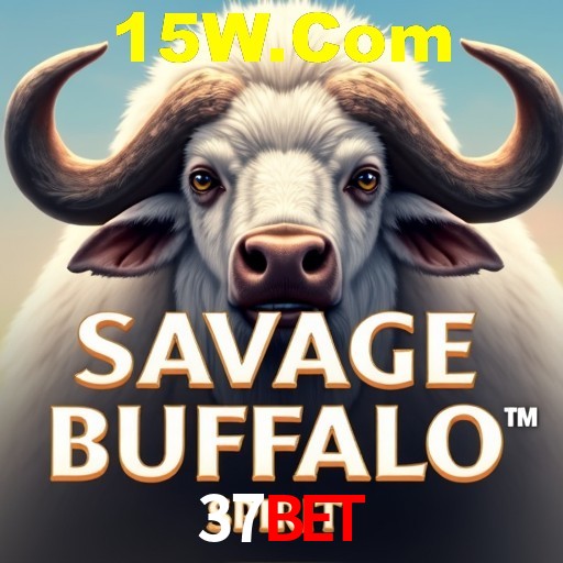 37bet
