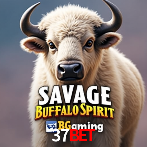 37bet